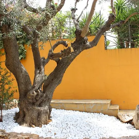 Casa Orchidea Capitana