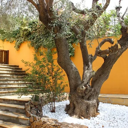 Holiday home Casa Orchidea Capitana